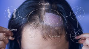 growth phases